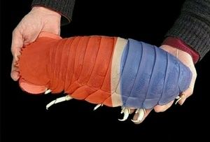 Meet your Posher, Erick